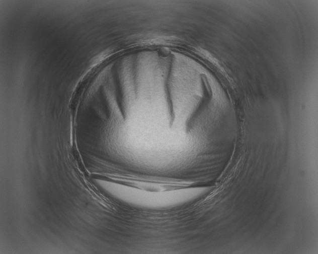 X0000082951219200702222304