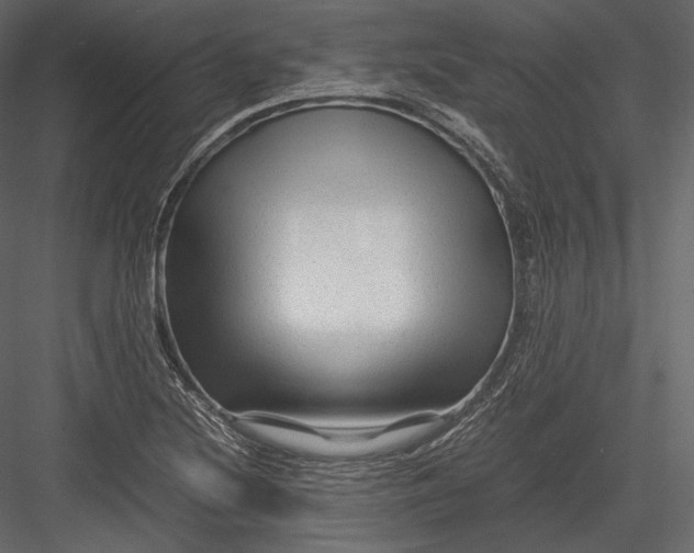 X0000082951220200702222304