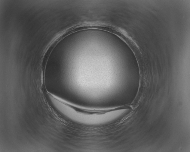 X0000082951221200702222304