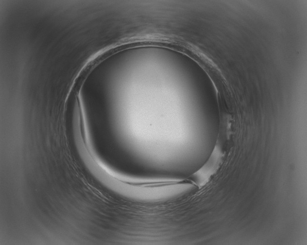 X0000082951222200702222304