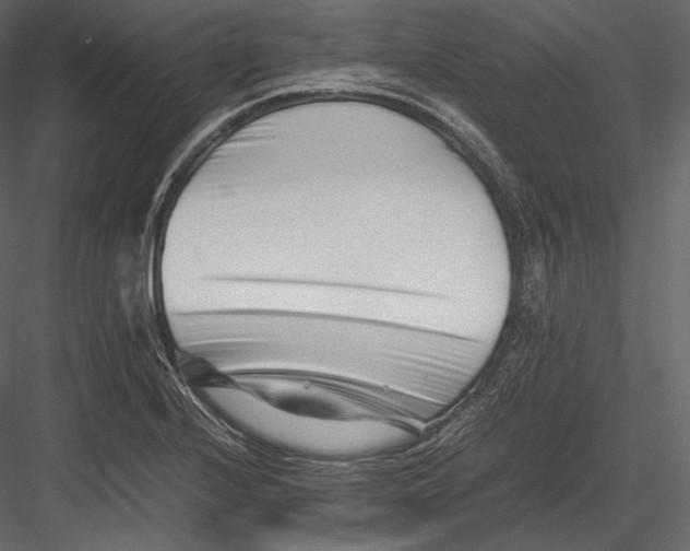 X0000082951224200702222304