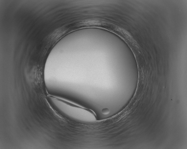 X0000082951225200702222304