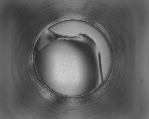 X0000082951226200702222304