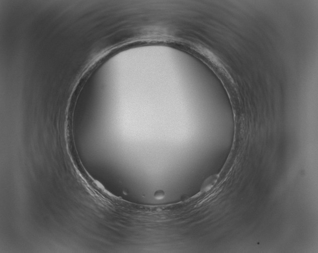 X0000082951229200702222304