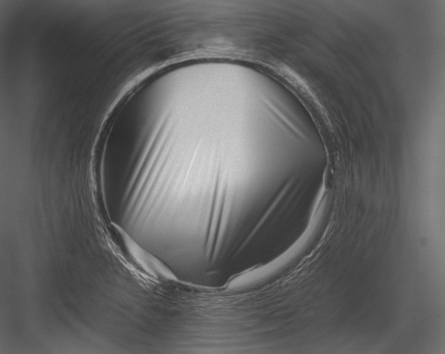 X0000082951230200702222304