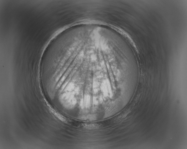 X0000082951231200702222304