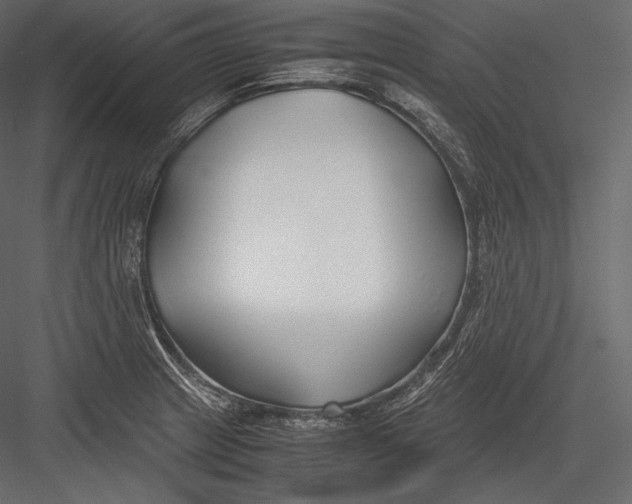 X0000082951233200702222304