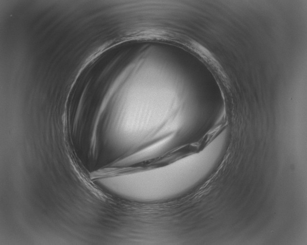 X0000082951234200702222304