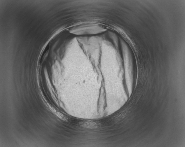 X0000082951235200702222304