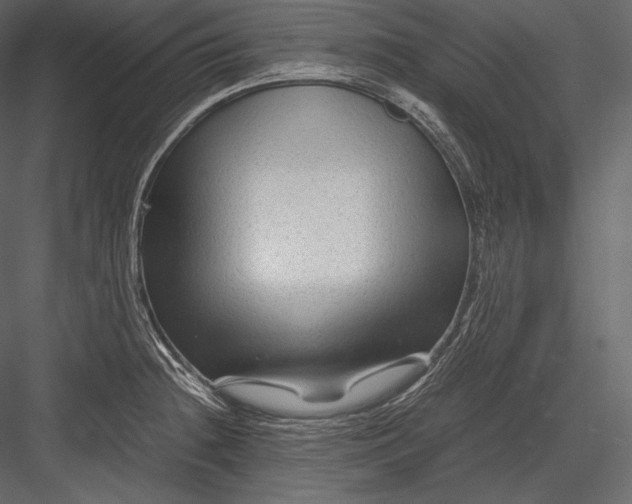 X0000082951236200702222305