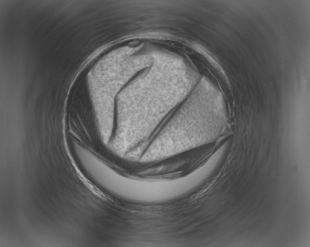 X0000082951237200702222305