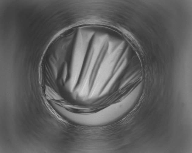 X0000082951238200702222305