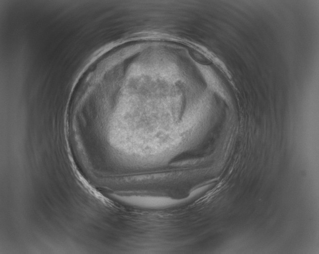 X0000082951239200702222305