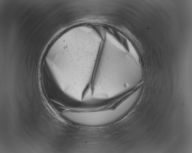 X0000082951240200702222305