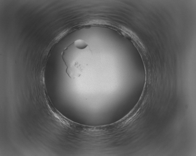 X0000082951241200702222305