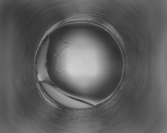 X0000082951242200702222305