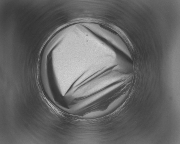 X0000082951244200702222305