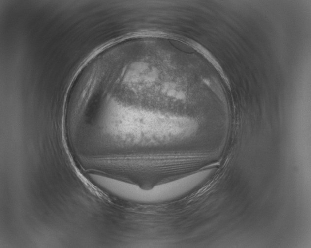 X0000082951245200702222305