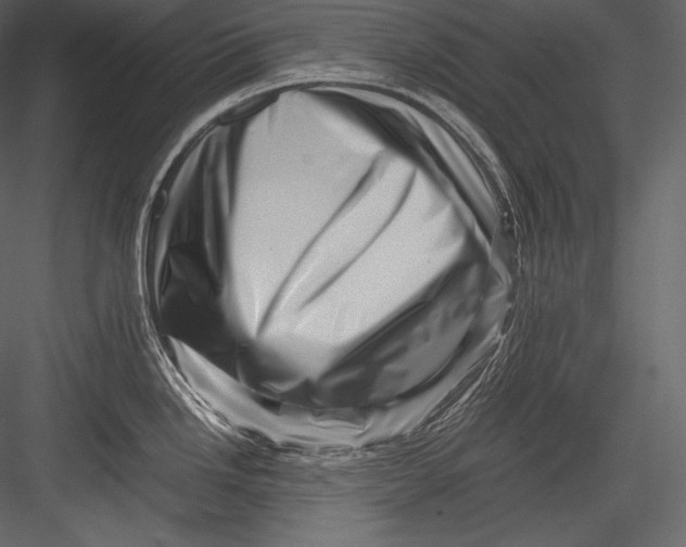 X0000082951246200702222305