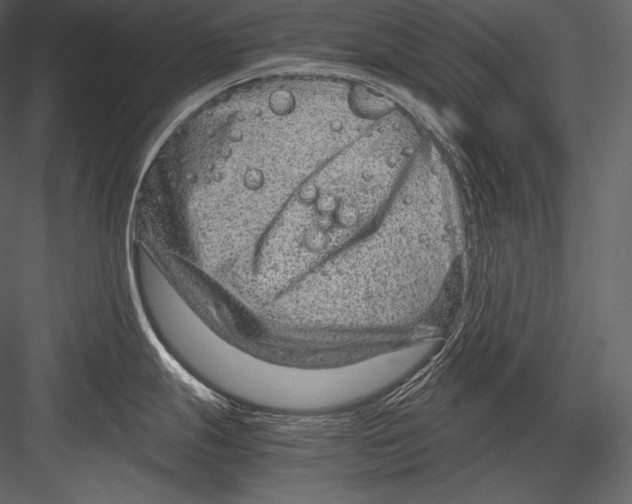 X0000082951247200702222305