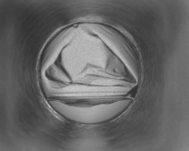 X0000082951248200702222305