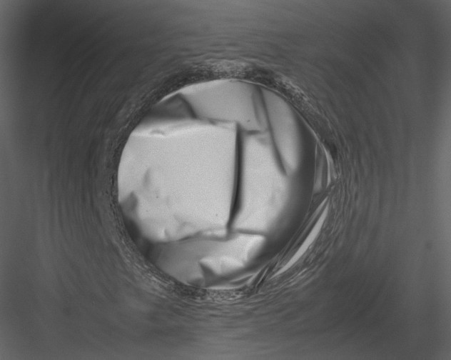 X0000082951249200702222304