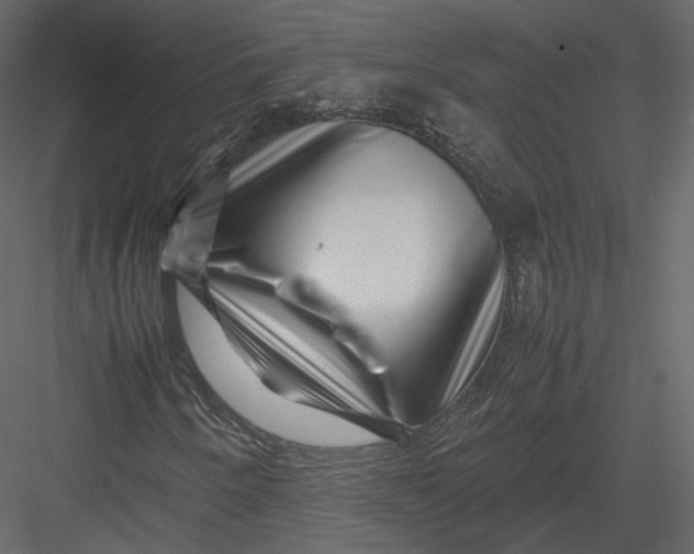 X0000082951250200702222304