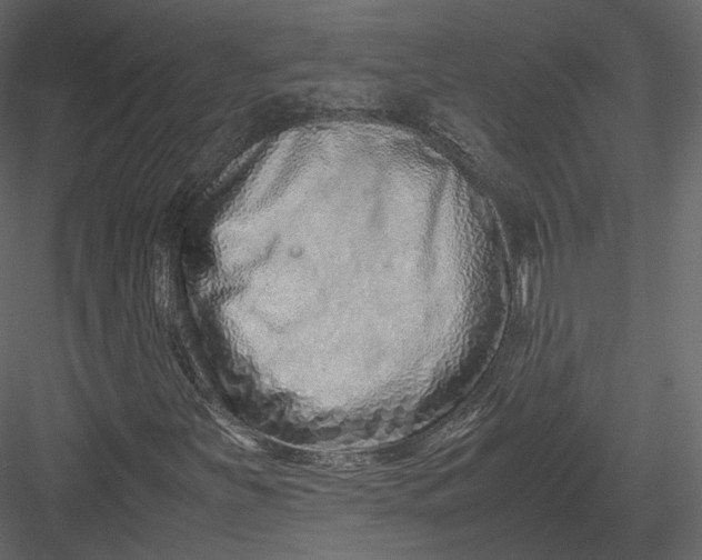 X0000082951251200702222304