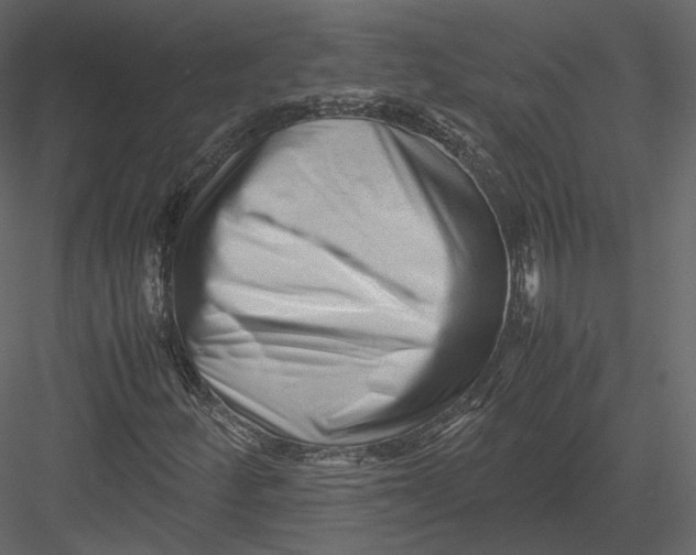 X0000082951252200702222304