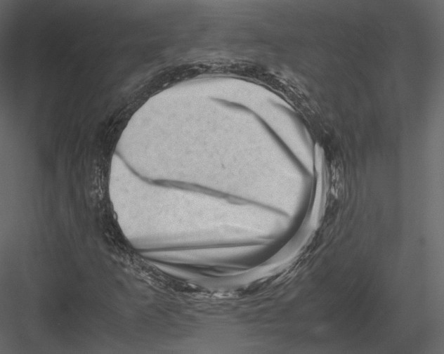 X0000082951253200702222304