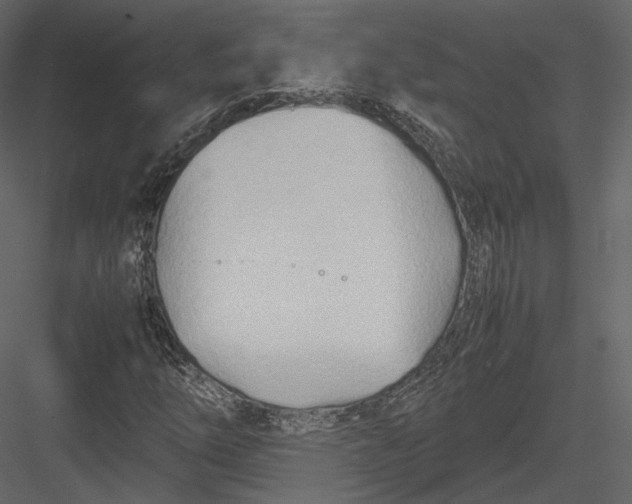 X0000082951254200702222304