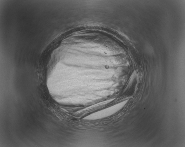 X0000082951255200702222304