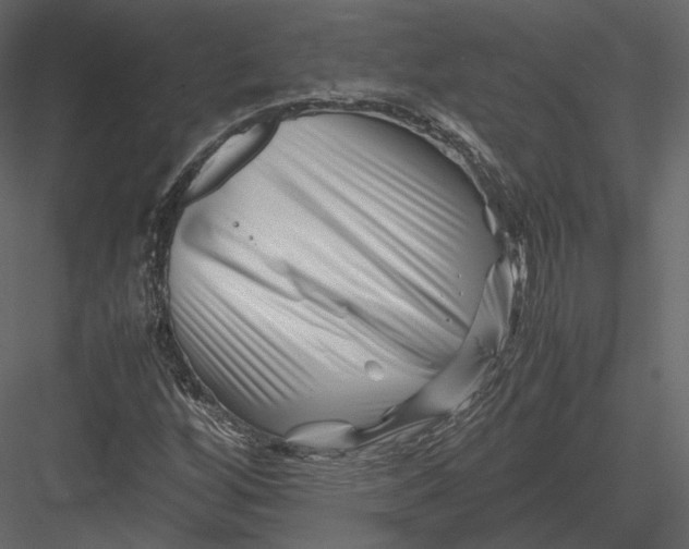 X0000082951256200702222304