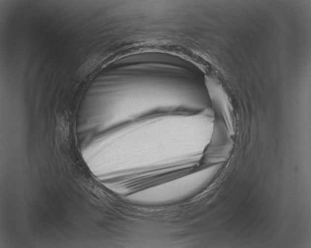 X0000082951257200702222304