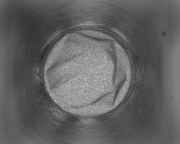 X0000082951258200702222304