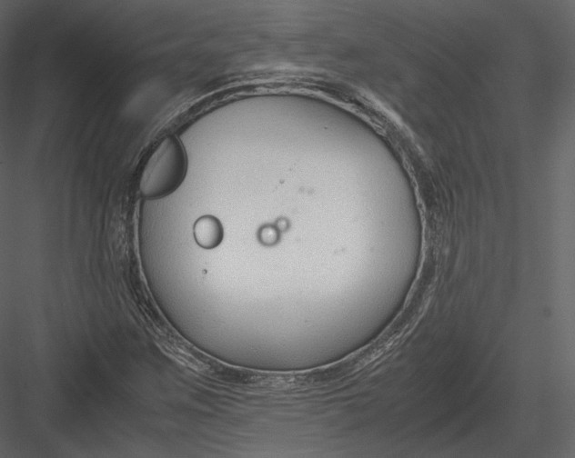 X0000082951259200702222304