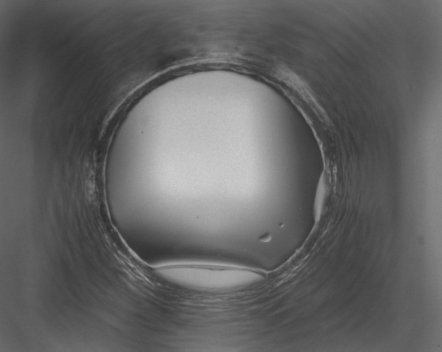 X0000082951260200702222304