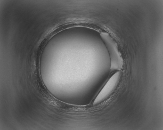 X0000082951261200702222304