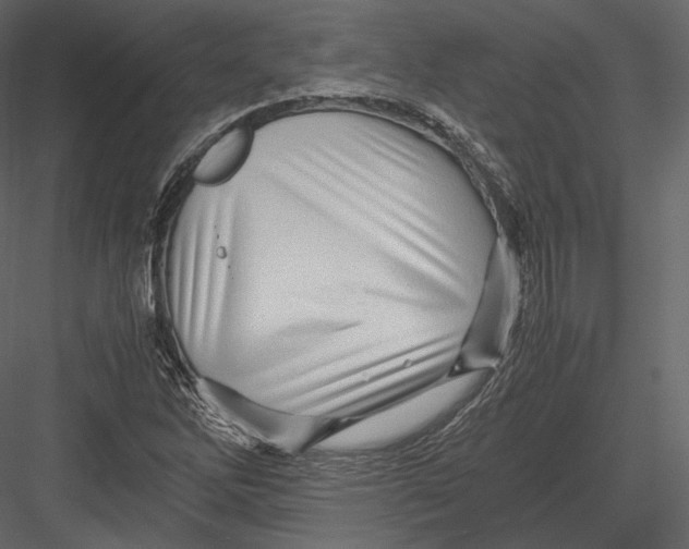 X0000082951262200702222304