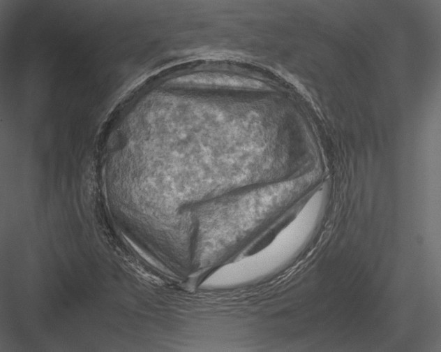 X0000082951263200702222304