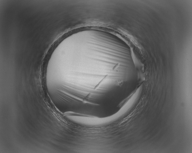 X0000082951264200702222304