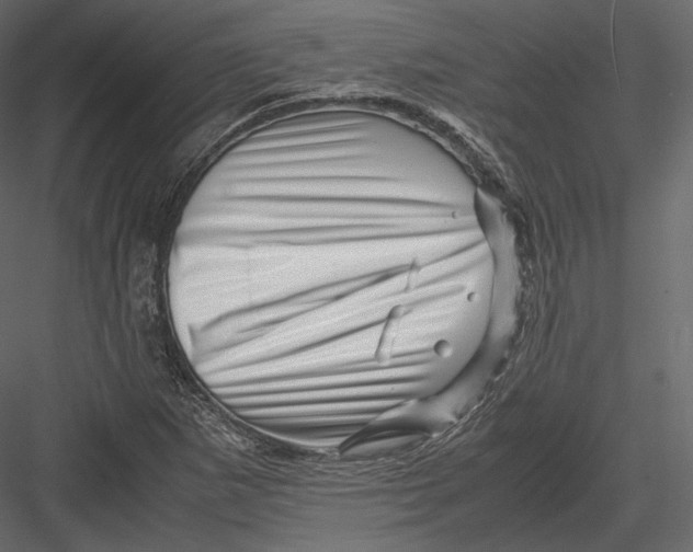 X0000082951265200702222304