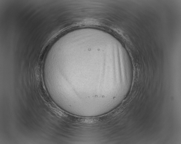 X0000082951266200702222304