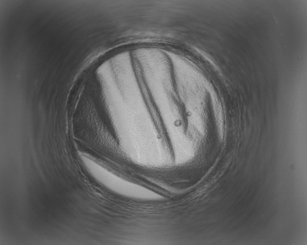 X0000082951267200702222304