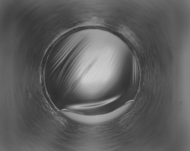 X0000082951268200702222304