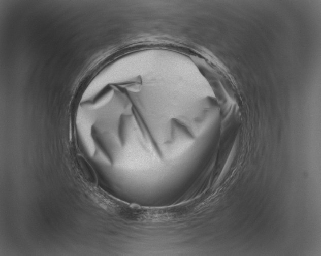 X0000082951269200702222304