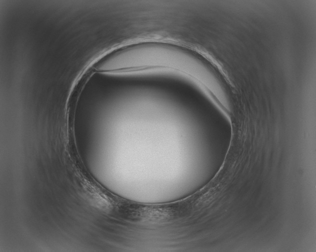 X0000082951270200702222304