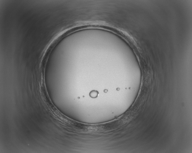 X0000082951271200702222304