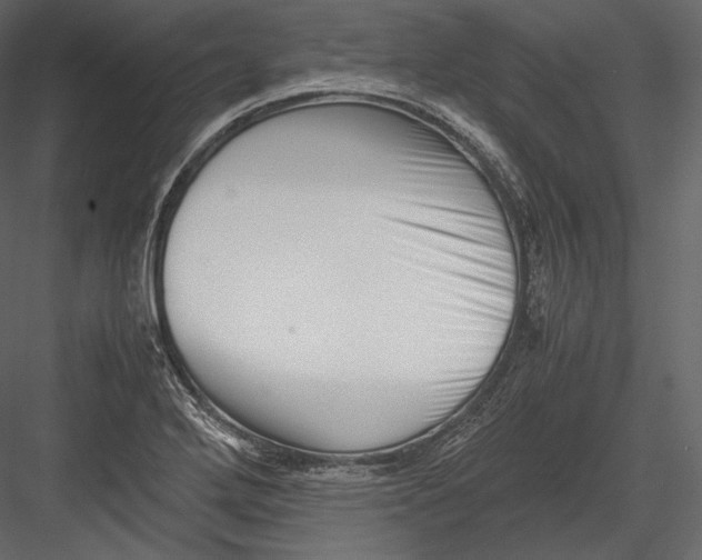 X0000082951272200702222303