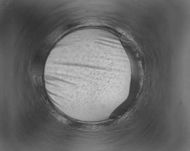 X0000082951273200702222303